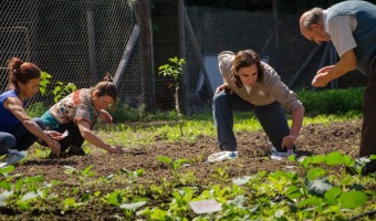 SE REALIZAR UNA CAPACITACIN SOBRE MANEJO DE RBOLES FRUTALES